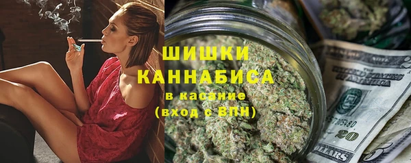 винт Дмитриев
